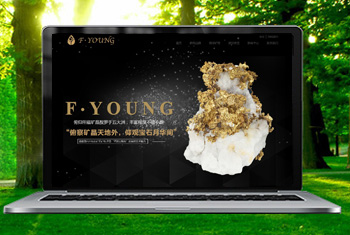 �Ͳ��������ﱦʯ